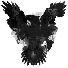 Armored Core Verdict Day, avatar 11