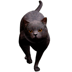 Shikitei, avatar 2