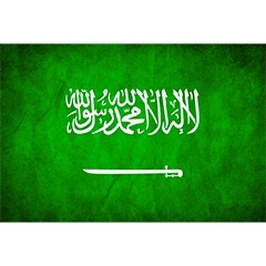 Saudi Arabia Bundle, avatar 2