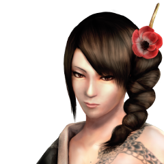 Shinobido 2 Sange, avatar 7