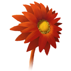 Flower, avatar 6