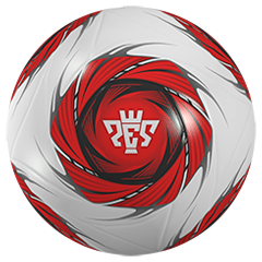 PES 2014 Pro Evolution Soccer, avatar 6
