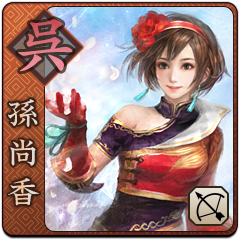 Shin Sangoku Musou Next, avatar 1