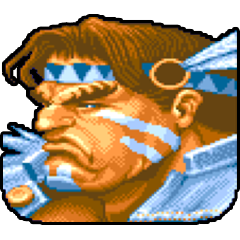 Super Street Fighter 2, avatar 14