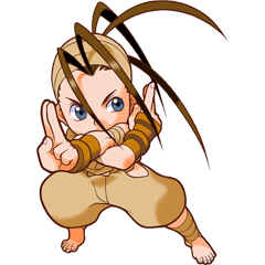 Pocket Fighter, avatar 22