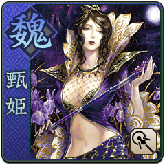Shin Sangoku Musou Next, avatar 11