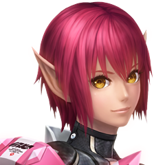 Phantasy Star Online 2, avatar 9