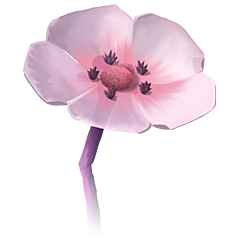 Flower, avatar 13
