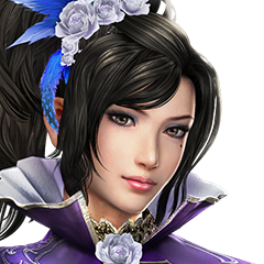 Dynasty Warriors 8, avatar 9