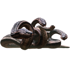 Dragon's Dogma, avatar 27