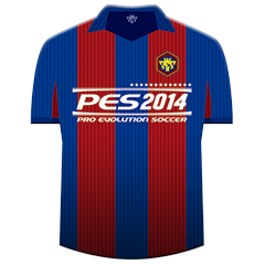 PES 2014, avatar 3