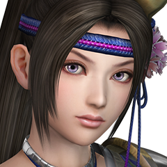 Sengoku Muso 4, avatar 2