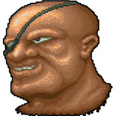 Street Fighter, avatar 5
