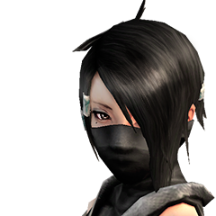 Shinobido 2 Sange, avatar 18