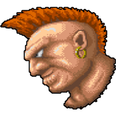 Street Fighter, avatar 2
