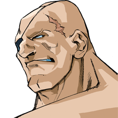 Street Fighter Alpha 3, avatar 27