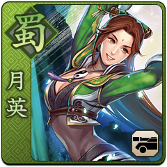 Dynasty Warriors Next, avatar 9