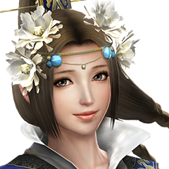 Dynasty Warriors 8, avatar 2