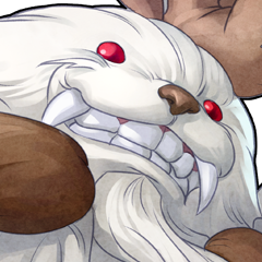Darkstalkers Resurrection, avatar 9