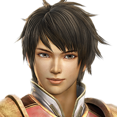 Dynasty Warriors 8, avatar 1