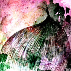 Puella Magi Madoka Magica, avatar 13
