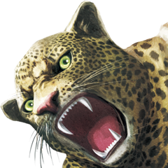 Street Fighter X Tekken, avatar 36