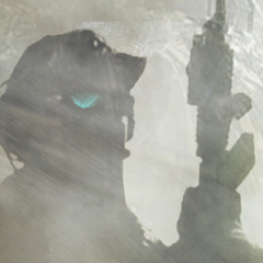 Tom Clancy's Ghost Recon Future Soldier, avatar 9