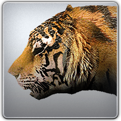 Tokyo Jungle, avatar 13