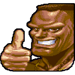 Super Street Fighter 2, avatar 5