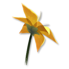 Flower, avatar 5