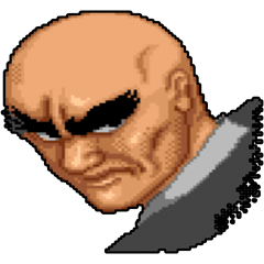 Street Fighter, avatar 11
