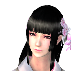 Shinobido 2 Sange, avatar 14