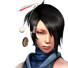 Shinobido 2 Sange, avatar 2