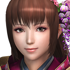 Samurai Warriors 4, avatar 3