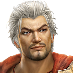 Dynasty Warriors 8, avatar 11