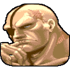 Super Street Fighter 2, avatar 13