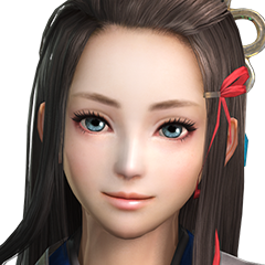 Samurai Warriors 4, avatar 1