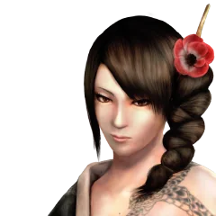 Shinobido 2 Sange, avatar 7