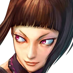 Super Street Fighter IV, avatar 14