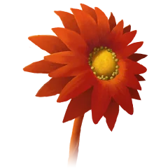 Flower, avatar 6