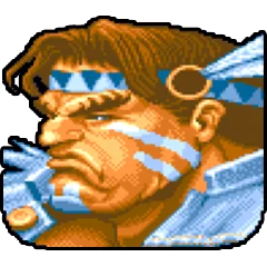 Super Street Fighter 2, avatar 14