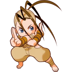 Pocket Fighter, avatar 22