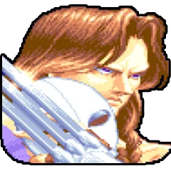 Super Street Fighter 2, avatar 15