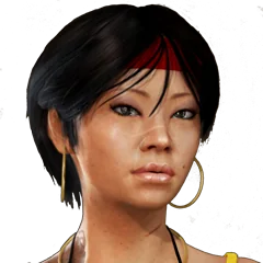 Uncharted 2 Among Thieves, avatar 28