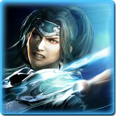 Shin Sangoku Musou Next, avatar 20