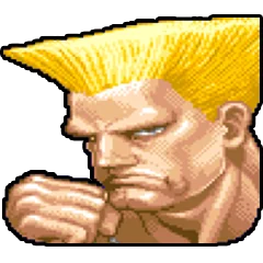 Super Street Fighter 2, avatar 9