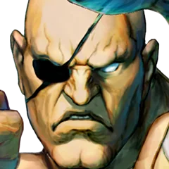 Super Street Fighter IV, avatar 20