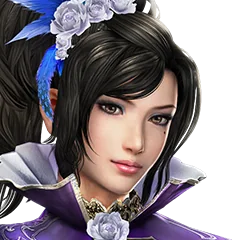 Dynasty Warriors 8, avatar 9