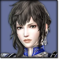 Dynasty Warriors 7, avatar 32