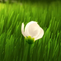 Flower, avatar 16